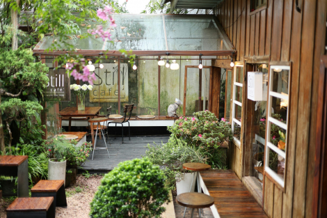 Petit jardin, petit espace, jardin de ville